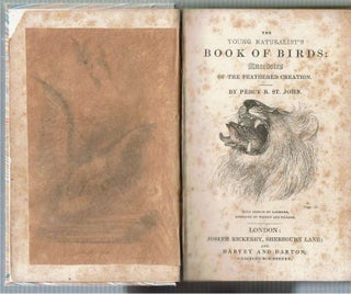 Young Naturalist's Book of Birds : Anecdotes of the Feathered Creation