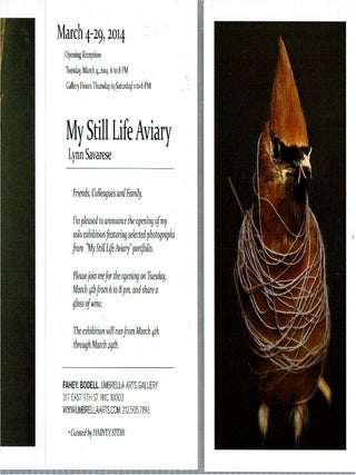 My Still Life Aviary
