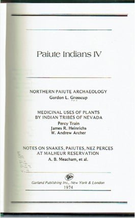 Paiute Indians IV