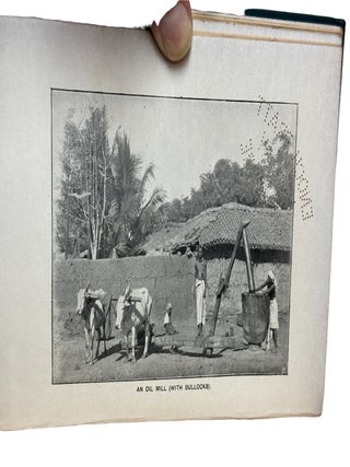 A Jungle Jaunt : And What Came Of It