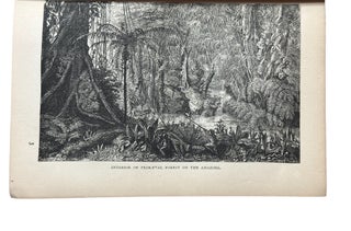 The Naturalist on the River Amazons : A record of adventures, habits of animals, sketches of Brazilian and Indian life, and aspects of nature under the Equator, during eleven years of travel