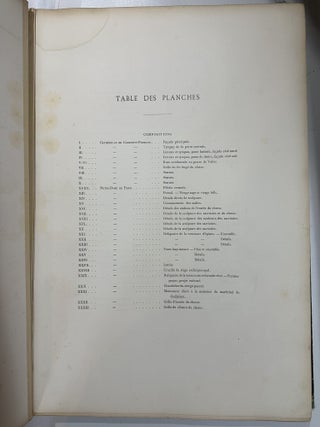 Compositions et dessins de Viollet-le-Duc : publiés sous le patronage du Comité de l'Oeuvre du Maitre