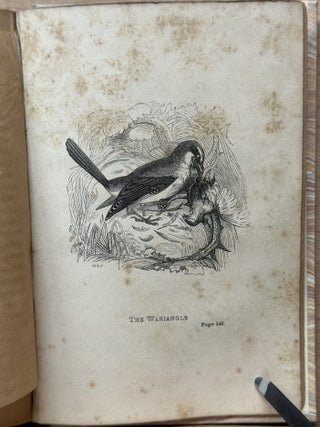 Young Naturalist's Book of Birds : Anecdotes of the Feathered Creation
