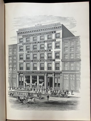 Mosemans' Illustrated Guide for Purchasers of Horse Furnishing Goods : Novelties, and Stable Appointments : Imported and Domestic : For the Wholesale and Retail Trade