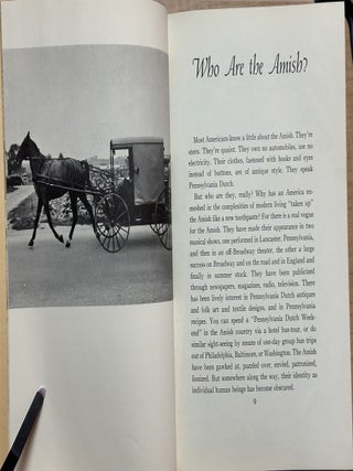 The Amish Year