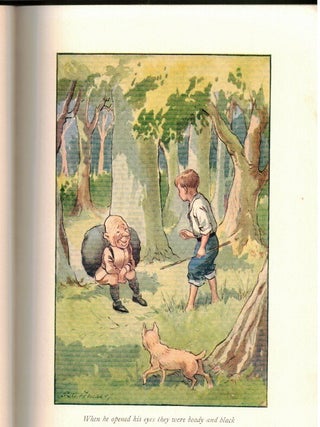 The Little Good People : Folk Tales of Ireland