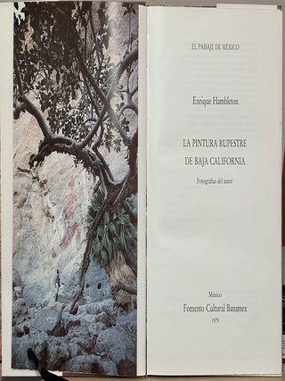 La Pintura Rupestre De Baja California